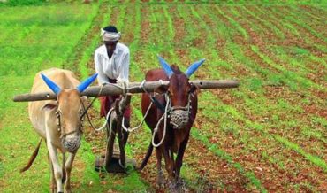 Sharad Joshi on The Unchanged Quarter Century for Farmers