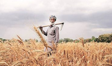 A Viable Agriculture Policy for Sustained Growth