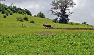 THE DANGERS OF JOINT CO-OPERATIVE FARMING